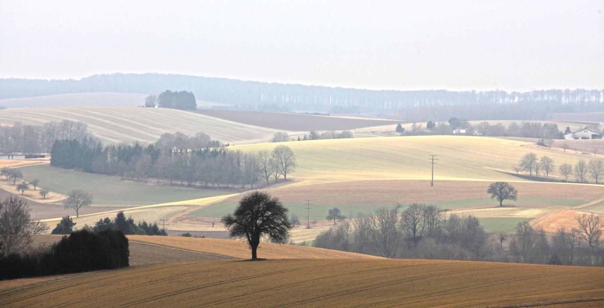 Ferienwohnung Jung Und Lind Bretten Zewnętrze zdjęcie